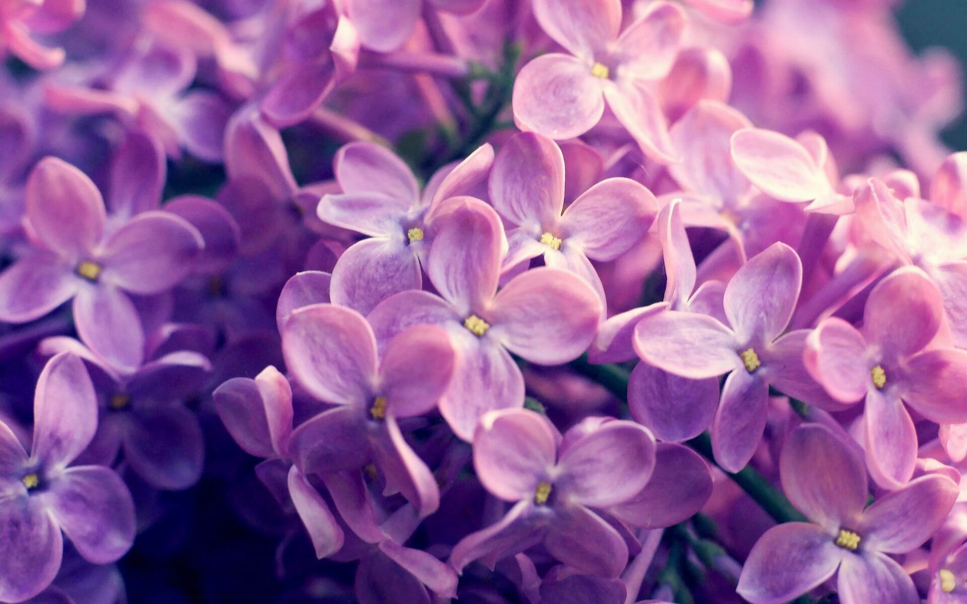 德罗赞沉默一击，让千万身价巨星集体哑火