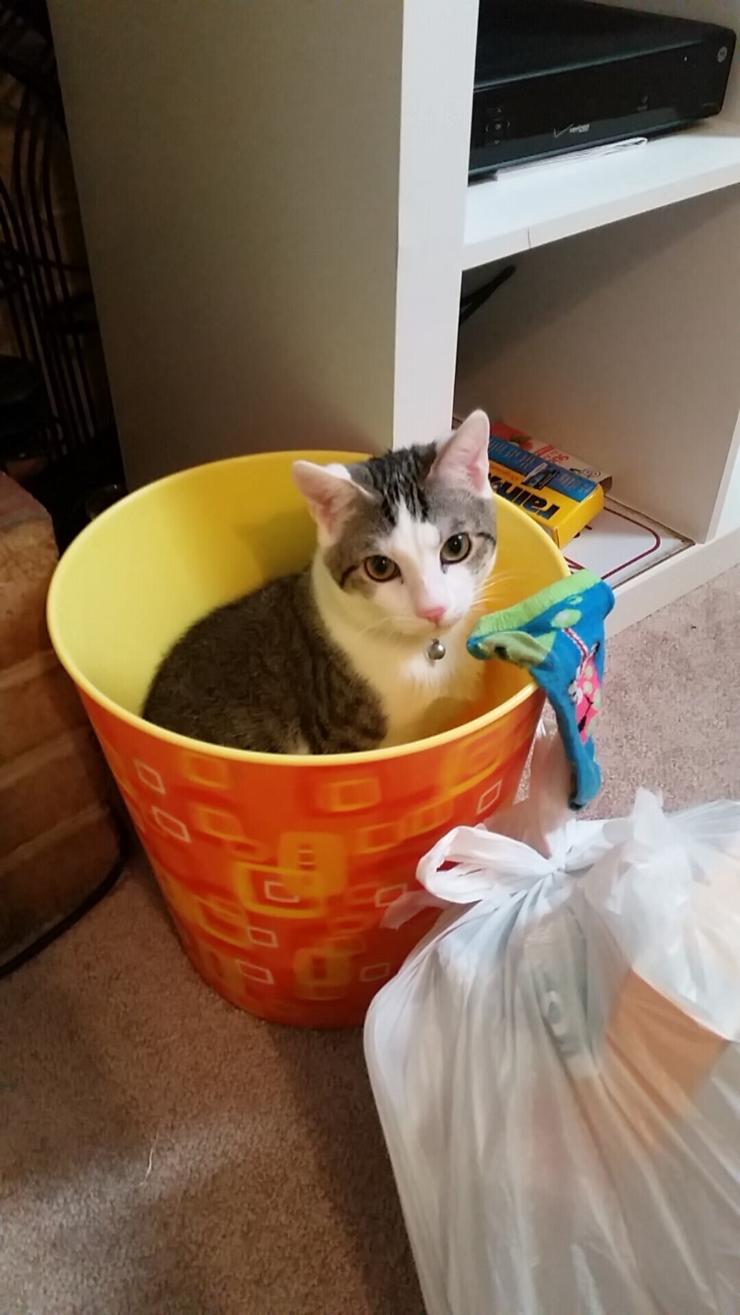 沉默守护者的致命一击，卡塞米罗如何用最硬核的方式定义欧冠半决赛之夜