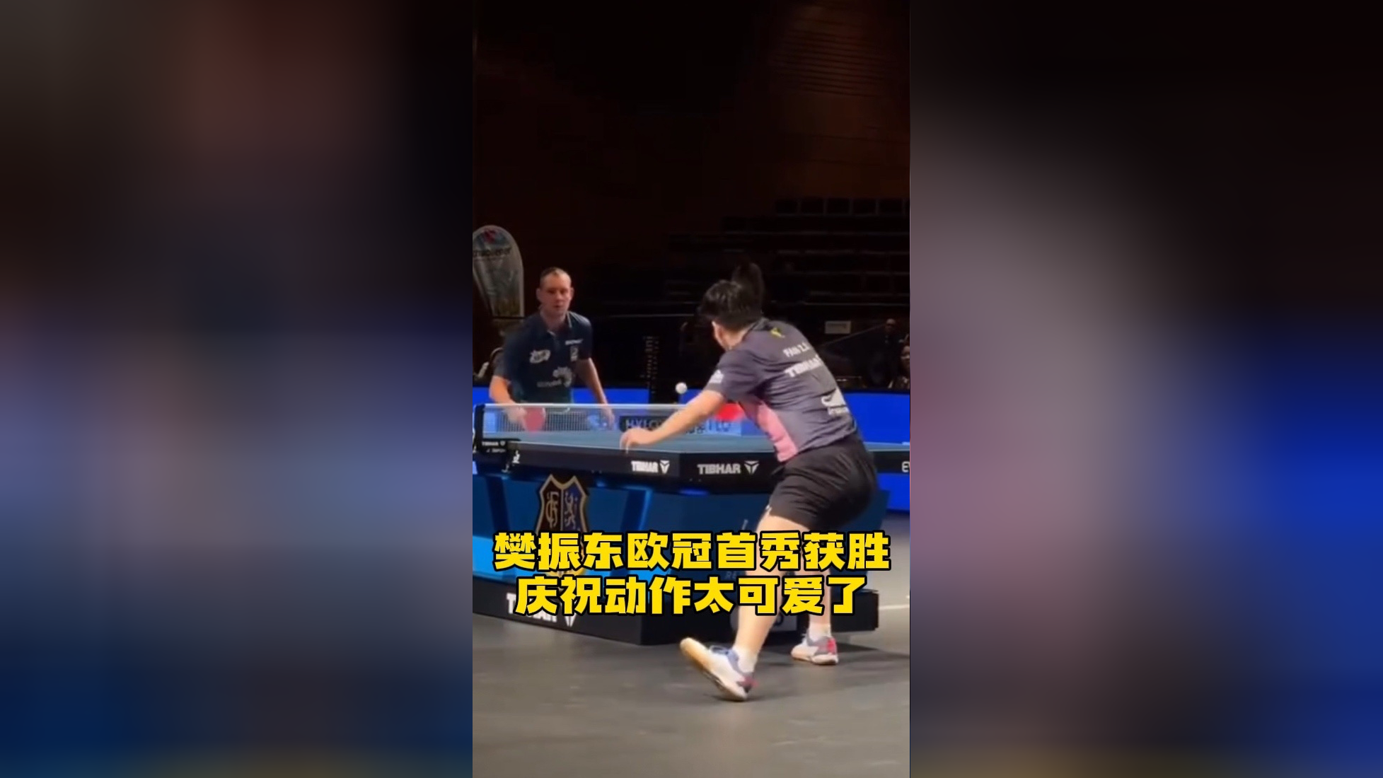 奥地利队碾压英格兰队，樊振东统治全场