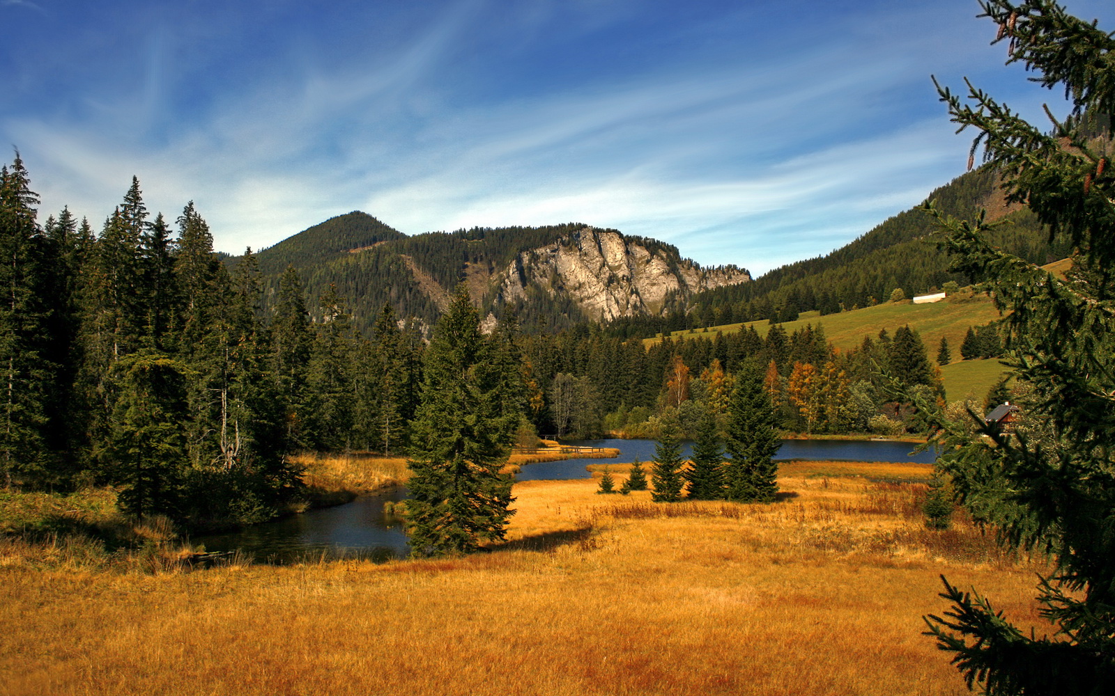 从关键先生到绝对领袖，福克斯加时赛封神一战，浙江男篮的血性与未来